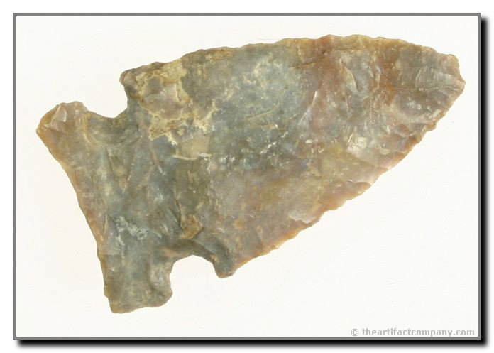 2 1/4" Big Sandy: Extra pretty translucent and colorful Boyle Chert from Fayette Co., Kentucky.