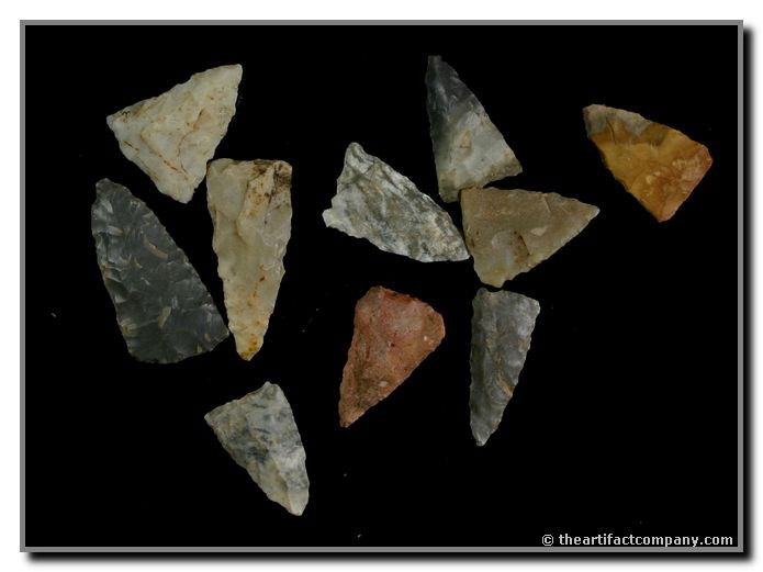 Mini-Collection of 10 Indiana Birdpoints: 10 very colorful and very pretty Birdpoints found by John Miller in Clay Co., Indiana. Sizes up to 1 1/4".