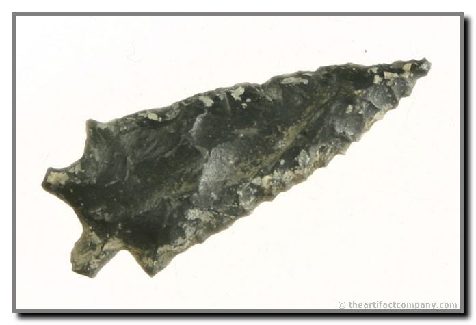 Wonderful Obsidian Elko Point: 1 7/16" Obsidian Elko. An amazing piece from Klamath Co., Oregon. Ex- Bodle.