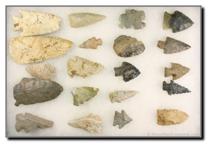 20 piece Indiana Mini-Collection/Dealer Lot: Longest 3 13/16". Nice cluster with lots of Archaics! Clay Co., Indiana. Ex - John Miller Collection.