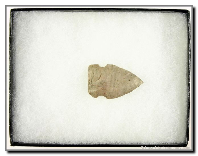 1 5/16" Godar: Warren Co., Indiana. Includes display case. Attica chert.