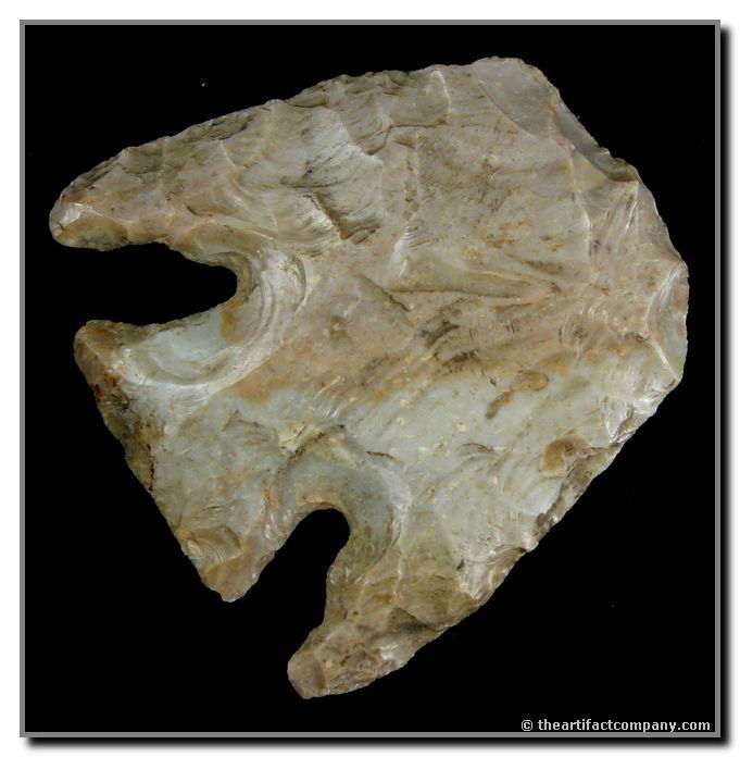 2 1/4" X 2 1/4" Hopewell Hafted Scraper: Really huge and really impressive. Found by John Miller in Clay Co., Indiana.