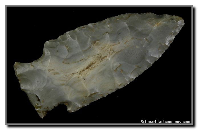 2 5/8" Intrusive Mound: Big for type yet very thin. Made of a pretty two tone gray Hornstone. Found by John Miller in Clay Co., Indiana.