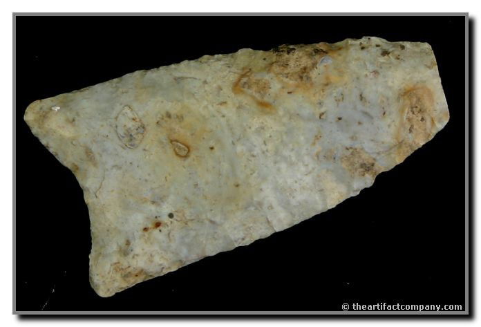 2" Redstone: Rare form. Great long extended flutes. Found by John Miller in Clay Co., Indiana.