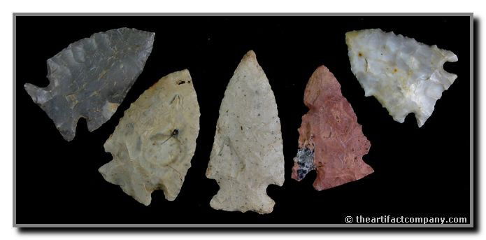 5 Colorful Corner Notched Points: These 5 Corner Notch points are finely crafted and have amazing coloration. The largest is 2 1/4" long and they were all found in Clay Co., Indiana by John Miller
