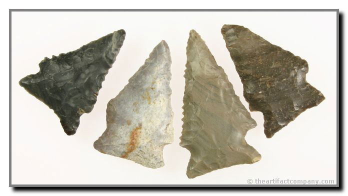 4 Great Indiana Stillwells: These 4 Stillwells have nice color variation and measure up to 2 1/4". They were found in Clay Co., Indiana by John Miller.