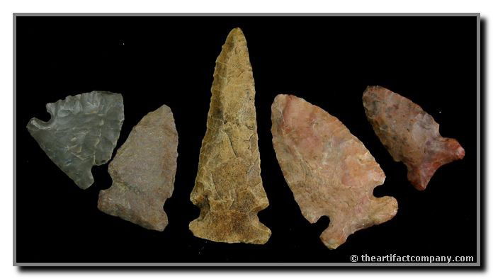 5 Pretty Big Sandys From Indiana.: A very pretty lot of 5 Big Sandys in shades of cream, pink , and gray. They measure up to 2 5/8" in length, and were found by John Miller in Clay Co., Indiana.