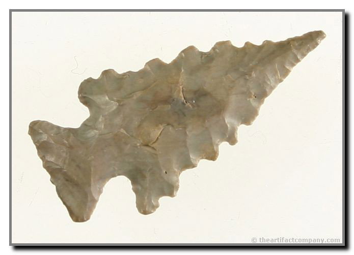 1 1/8" Sequoyah - Jackson COA: Tremendous serrations. Craftsmanship beyond belief. Spiro Mound, Oklahoma. Jackson COA.