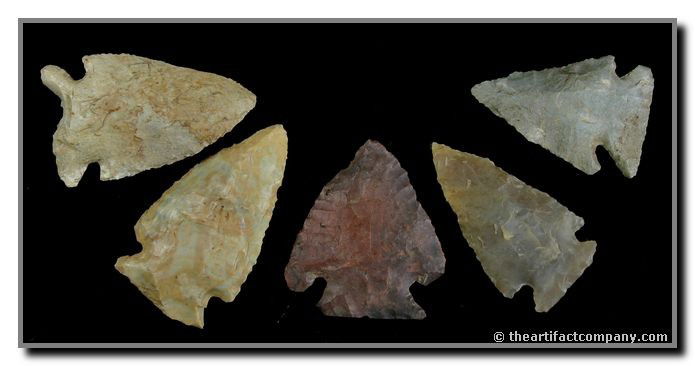 Nice Lot Of 5 Corner Notches: 5 colorful Corner Notches includes a beautiful translucent piece. Found in Clay Co., Indiana by John Miller. Lengths up to 1 13/16"