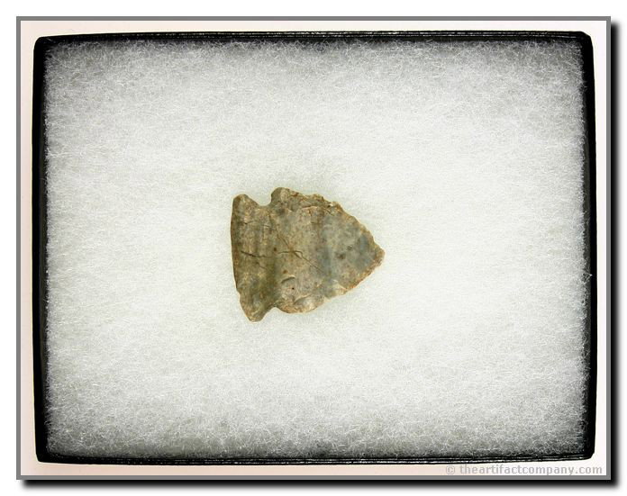 1 3/16" Charleston Corner Notched: Attica Chert. Warren Co., Indiana. Includes display case.