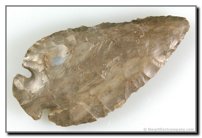 Excellent 3 1/2" Dovetail: Gray Hornstone. Really nice heart shaped example. Found by John Miller in Clay Co., Indiana.