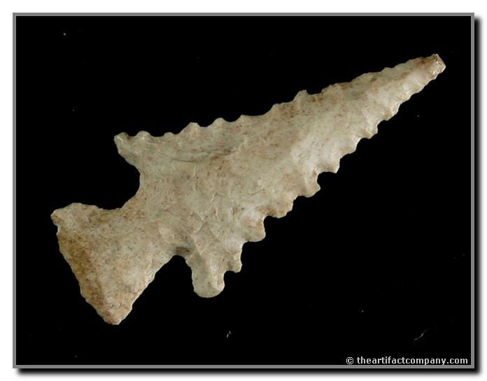 1 1/8" Sequoyah - Jackson COA: Tremendous serrations. Craftsmanship beyond belief. Spiro Mound, Oklahoma. Jackson COA.