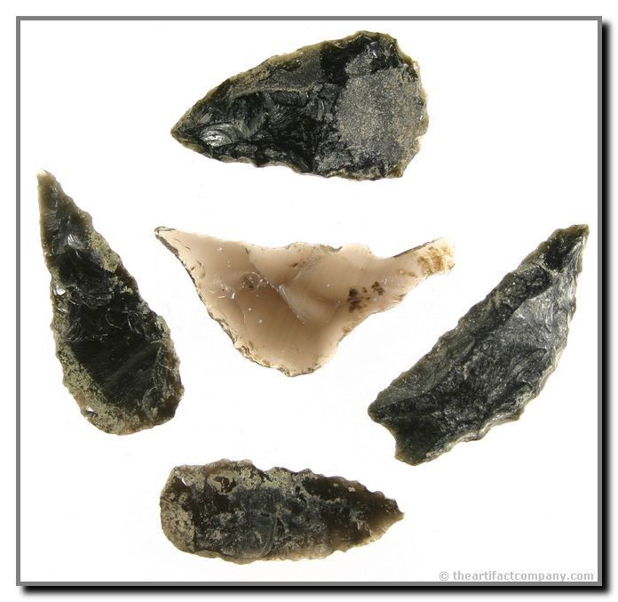 Group Of 5 Blades And Scrapers From Oregon: 5 well mineralized Obsidian scrapers and blades from Klamath Co., Oregon. Sizes ranging from 1 3/4" - 2 1/4". Ex- Bodle