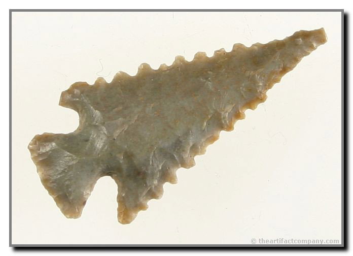 Phenomenal 1 1/4" Sequoyah - Jackson COA: Tremendous serrations. Craftsmanship beyond belief. Spiro Mound, Oklahoma. Jackson COA.