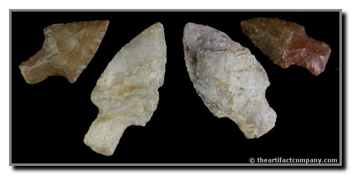 4 Nice Adenas All with individual Jackson COA's: From Bath, Montgomery, and Estill Counties in Kentucky. Two are Carter Cave. Two are Boyle Chert. All very nice. Great dealer lot. 4 Jackson COA's.