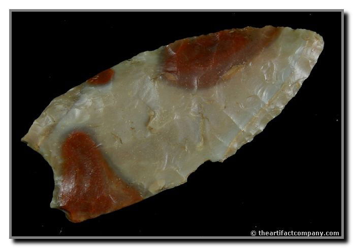 2 3/8" Clovis: Beautiful multicolored Paoli. One flute extends 75%. The other over 50%. Found by John Miller in Clay Co., Indiana.