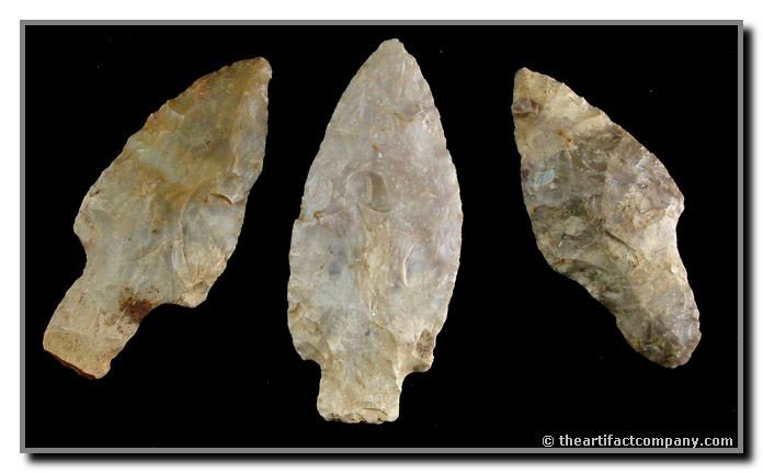 Three Extra Nice Adenas: All Boyle Chert. All from Montgomery Co., Kentucky.