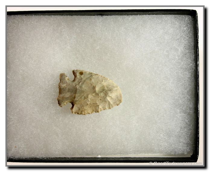 1 3/8" Palmer: Attica Chert. Warren Co., Indiana. Includes case.