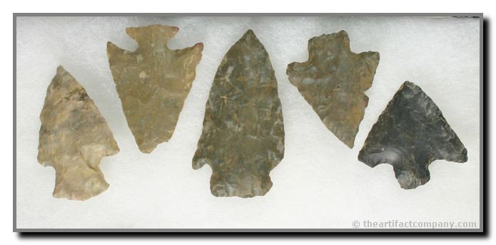 5 Archaic Notched Knives: Buck Creeks, Wade, others. Central Kentucky. Longest 2 5/8"