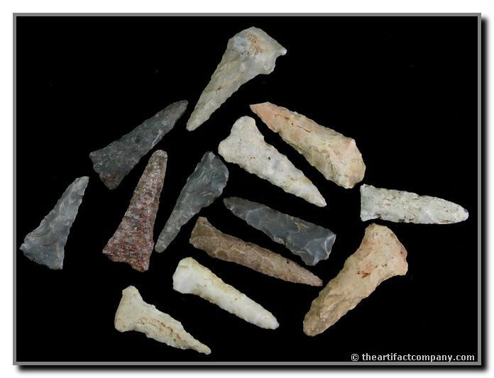 Bakers Dozen Colorful Indiana Drills: 13 colorful Drills found in Clay Co. Indiana by John Miller. Lengths up to 1 7/8"