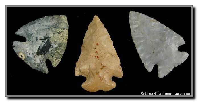 Collection of 3 Amazing Mini-Doves: All perfect and all found by John Miller in Clay Co., Indiana.