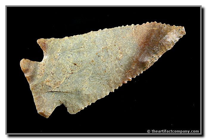 093: 2 3/4" Kirk: Found by Bud Clem in Jessamine Co., Kentucky. Pretty serrated example in Carter Cave flint.