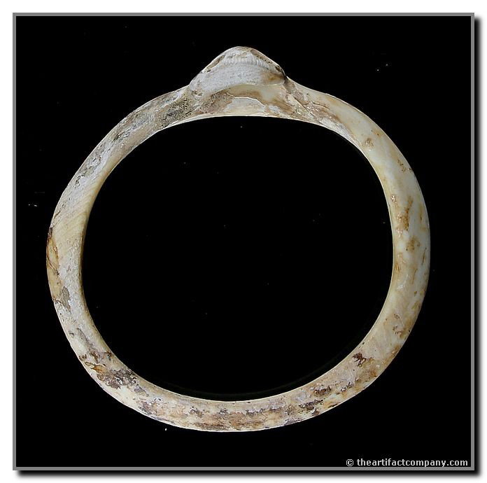 2 15/16" Hohokam Shell Effigy Bracelet: Nice example with raised Horned Lizard or Owl head. Large eyes. Arizona.