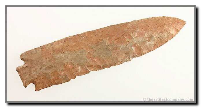 6 5/8" Benton - Dickey COA: Dickey types as possibly 'Pre-Benton'. Found by Steve Wilson in Hardin or Perry Co., Tennessee. Buffalo River Chert. Really big example with color! Dickey COA