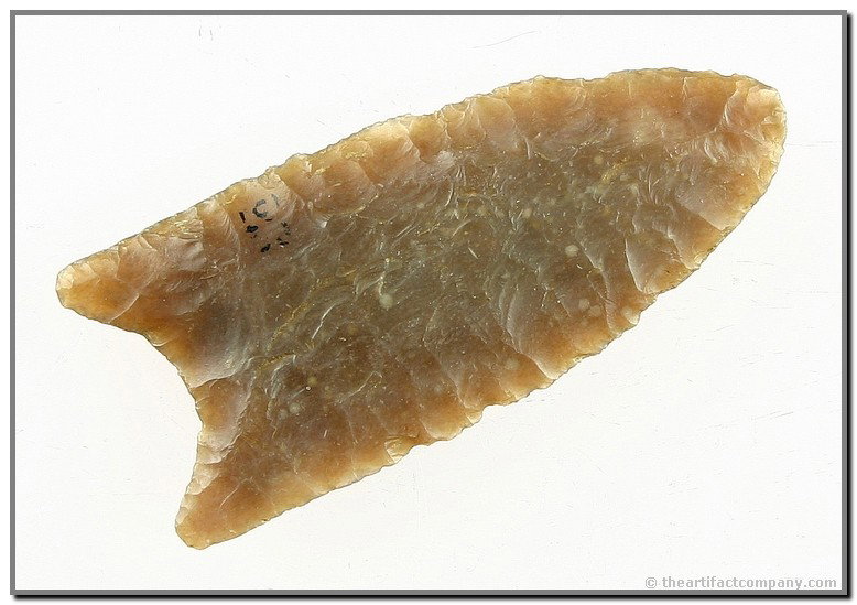 036: 2 3/8" Goshen - Jackson & Earthworks COA's: Translucent and fabulous. Flaking to die for. Thin and literally perfect. Made of beautiful rich and glossy Chalcedony. Found by James Oliver in Prowers Co., Colorado. Ex- Oliver & Redmoind Collection