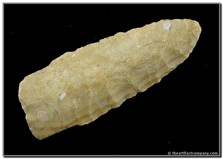038: 2 5/16" Eden - Jackson COA: Thin with killer Cody parallel flaking. Made of an extra pretty cream and white fossil chert with auction mini-snail fossils evident embedded flat on the surface. Truly beautiful under a microscope. F