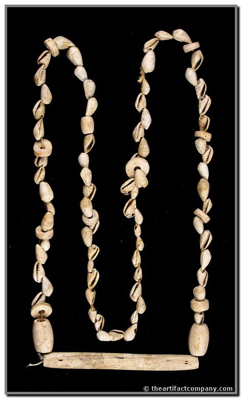 32" Shell Necklace: Large number of shell beads with several made from prehistorically traded Conch from the Gulf of Mexico including one bead 3 1/4" long! All found at a Mississippian site in Hamilton Co., Ohio. Circa 1