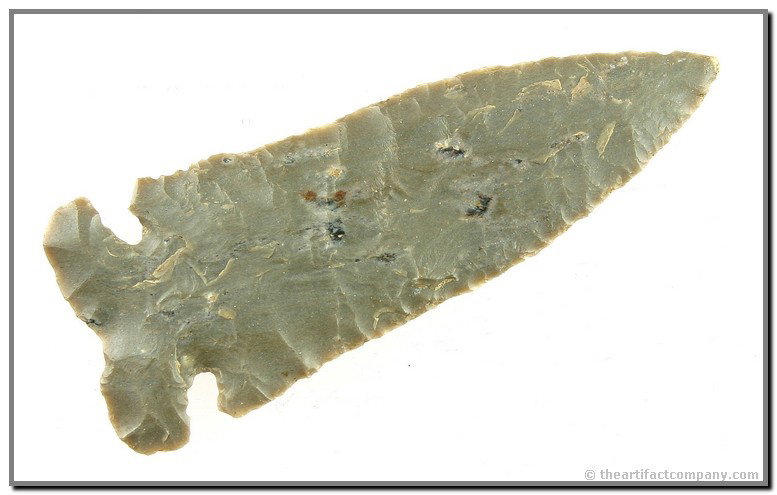 Exceptional 3 5/8" Big Sandy - Jackson COA: Ultra thin with flaking to die for. Made of high grade multi-toned Fort Payne Chert. Found in Clark Co., Kentucky. Ex- Thomas Collection.