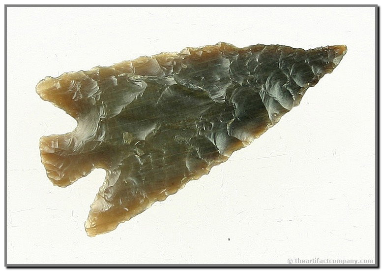 1 1/4" Columbia Plateau: Killer example. Ultra thin with amazing flaking. Glossy high grade root beer colored Agate with nice translucency. No stacks, divots, or other surprises. Just an excellent example. Found in Washington