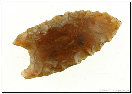 1 1/2" Goshen - Partain & Putty COA's: Beautiful translucent root beer colored Knife River Flint. Rare type in a rare material. Found in Wyoming. Ex- John Lees Collection. Distinctly deeply fluted on both sides like Folsom. Partain & Putty