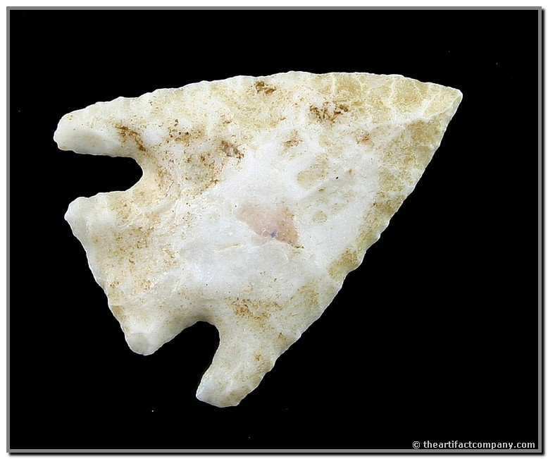 1 1/4" Hells Canyon Basal Notched: Beautiful translucent perfectly symmetrical example. Found in Oregon.