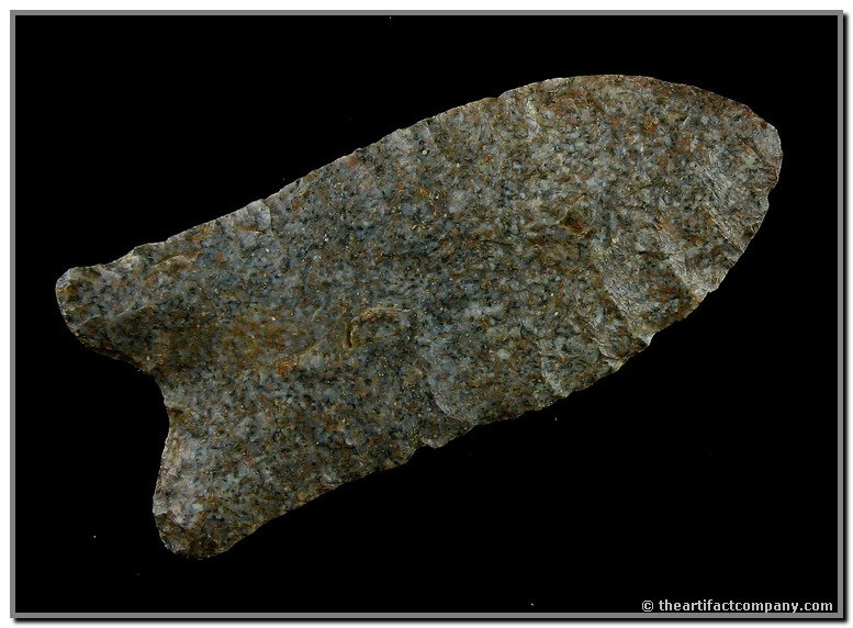 3 1/16" Quad - Jackson COA: Beautiful piece of speckled blue, green, tan, white, and brown Harrodsburg Chert. Found many years ago in Pulaski Co., Kentucky by Bill Carter. Thin and exceptional with flaking to die for. Repointed 