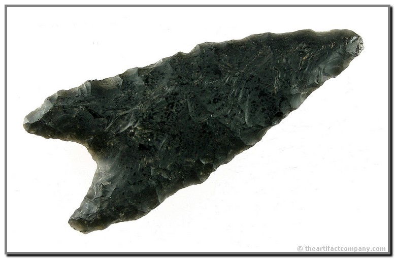 Huge 3 1/4" Triple -'T': Rare form with tremendous size. Heavily desert polished Obsidian found in Elko Co., Nevada. Completely intact. Truly a unique piece. Will definitely enhance any Western U.S. Collection of quality.