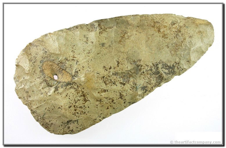 9 1/8" Hoe - Jackson COA: Huge example with a unique and very interesting fossil cavity. Loaded with minerals. Old writing says - 'Jim Thompson #42 and 198'. Ex- Snyder Collection. Livingston Co., Kentucky. Jackson COA.