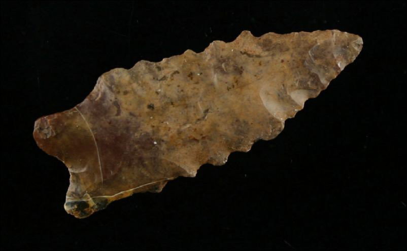 1 3/8" Exquisite San Jose: Very 'early' archaic dart. Found in New Mexico. Extremely colorful chert.