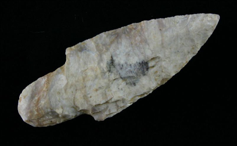 Perfect 3 1/8" Adena: Perfect example made of pretty Boyle Chert with very interesting banding and fossils in the material. Found in Bath Co., Kentucky.