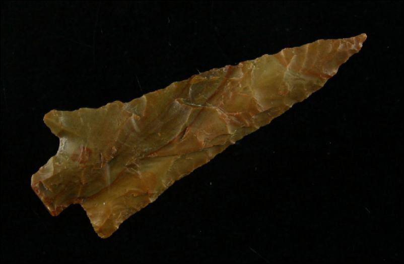 1 7/16" Petrified Wood Walulla: Beautiful Petrified Wood example with great length and a needle tip. Found in Yakima Co., Washington. Ex- Floyd Hammond Collection.