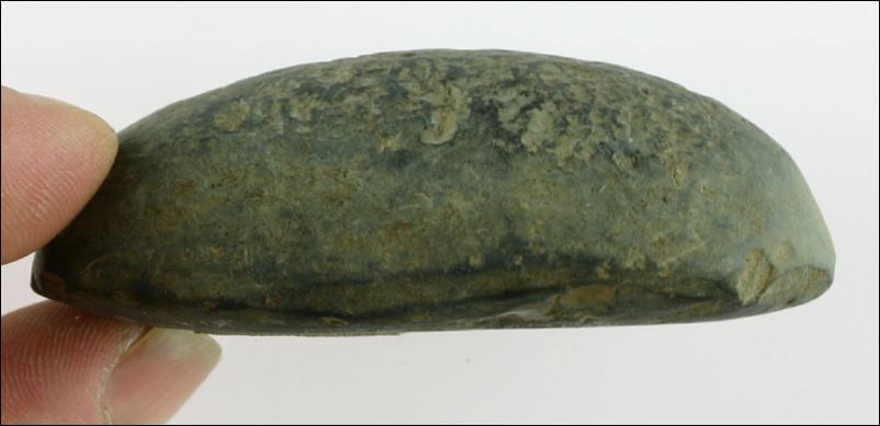 Rare 3 1/4" Turtle Back / Humped Back Gorget: Dark gray slate. Smoothed on bottom and both ends shaped. Polished over its entirety. Undrilled rare and pleasing form. Stands a full1" high. Midwestern Type. Ex- Snyder Collection.