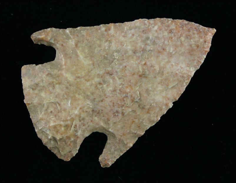 Extra Nice 2 3/8" Hopewell - Jackson 'G-9' COA: pictured in Overstreet Vol. 11, page 751. Exceptionally thin and perfect with long ears. Pretty glossy speckled orange material. Found in Missouri. Jackson 'G-9' COA.