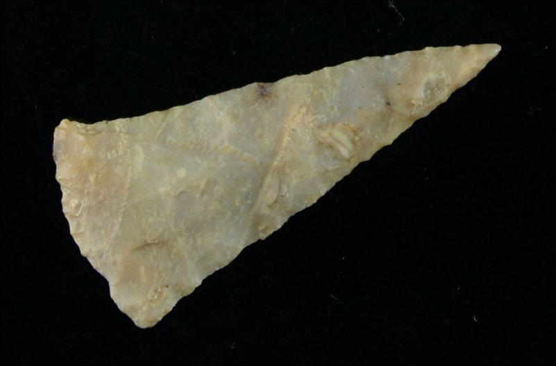 Perfect 1 5/8" Feurt Type Ft. Ancient point: Made of high quality translucent Boyle Chert. Needle tip. Old writing says - "Bath Co., Ky'.