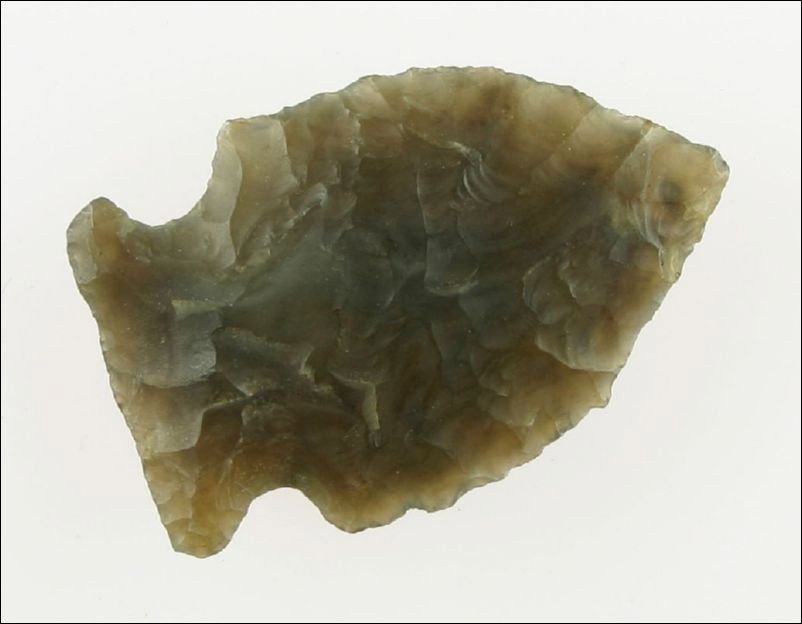 Translucent 1 5/8" Intrusive Mound: Superb example. Beautiful root beer colored highly translucent Knox Chert. Found in Tennessee. Ex- Humphries Collection.