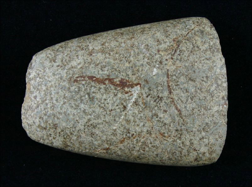 Exceptional 2 1/2" Adze: Pretty speckled cream, brown, and green Granite example highly polished over its entirety. Found in Bath Co., Kentucky. Adzes are 100 times more rare than celts.