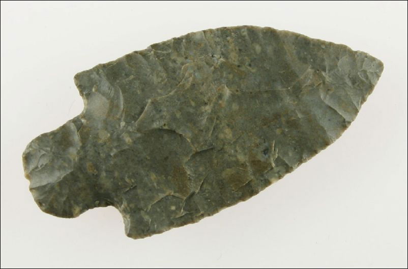 Cookie Cutter 2 7/16" Mulberry Creek: Excellent example with precise secondary retouch all around both blade edges. Pretty gray and light blue Fort Payne. Nice needle tip. Found in Dickson Co., Tennessee.