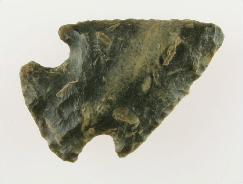 1 7/8" Kentucky Knobbed Hardin: Sweet little example made of a very pretty two tone gray and cream Wayne County Chert. Heavily ground base. Found in Pulaski Co., Kentucky. Ex- Bill Carter Collection.