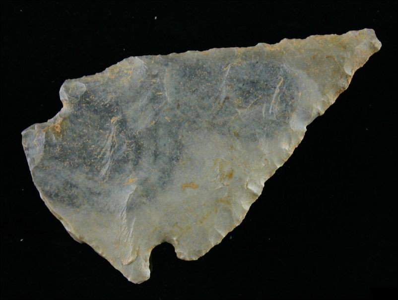 3 9/16" Bullseye Turkeytail Blade: Bullseye Hornstone. Appears to be made by a later Aboriginal having found a killed Turkeytail blade and then notching it for hafting and further use. Really unique form. Found in Nicholas Co., Kentuck