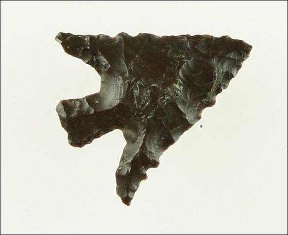 Perfect 3/4" Columbia Plateau - Jackson 'G-10' COA: Flawless little masterpiece. Dark maroon jasper with every flake, tip, etc., in place. Super fine serrations. Overall, Good as they get. Found in Yakima Co., Washington. Ex- Floyd hammond Collection. 